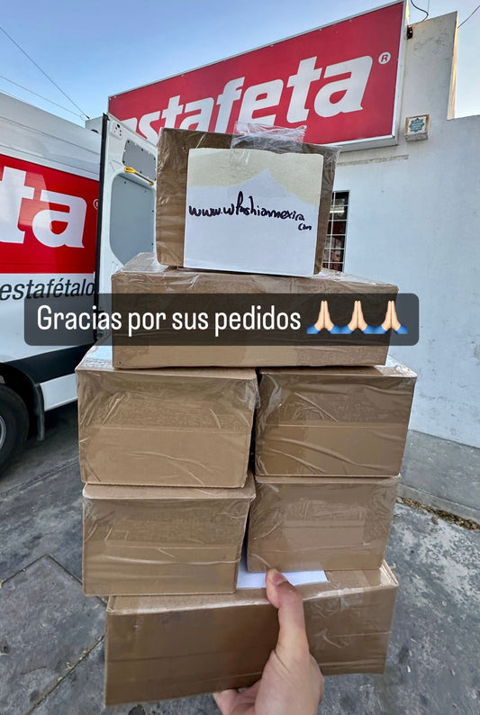 Envíos a todo México 174