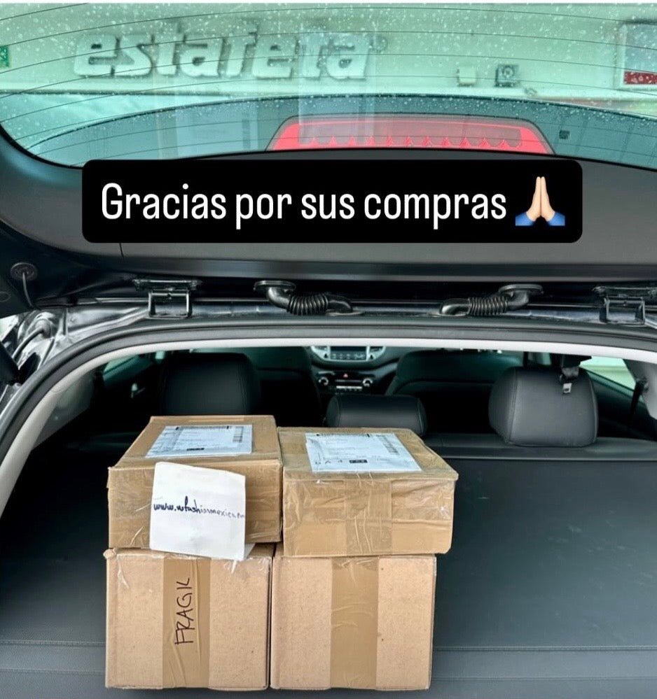 Envíos a todo México 502