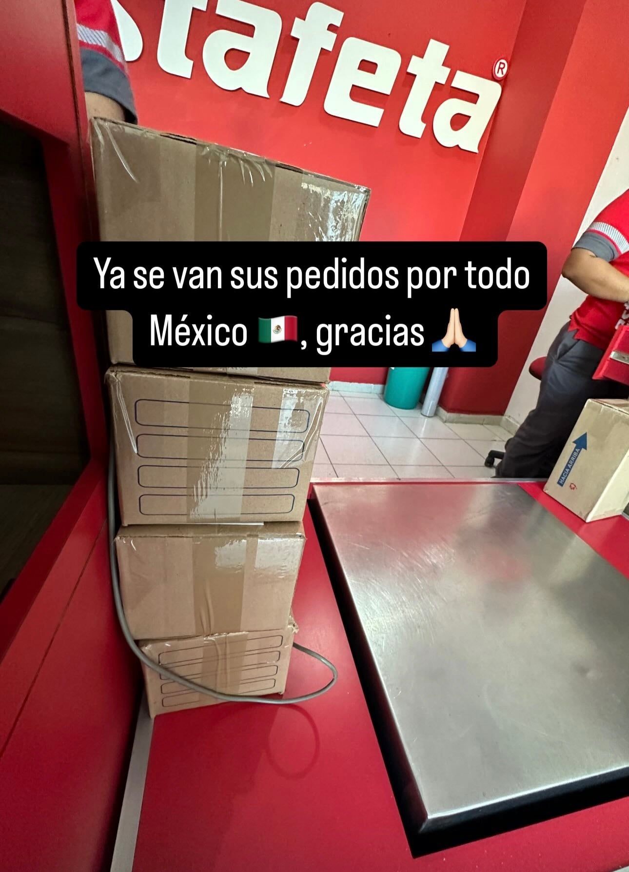 Envíos a todo México 295