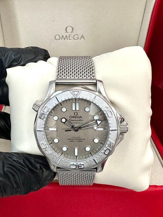 Sea Master Diver Silver