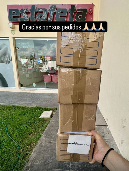 Envíos a todo México 400