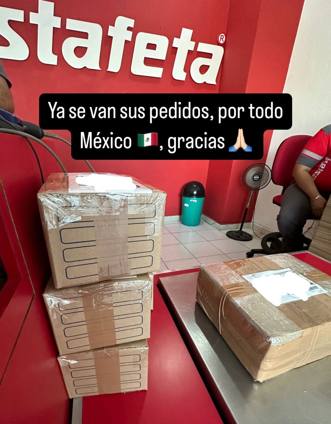 Envíos a todo México 310