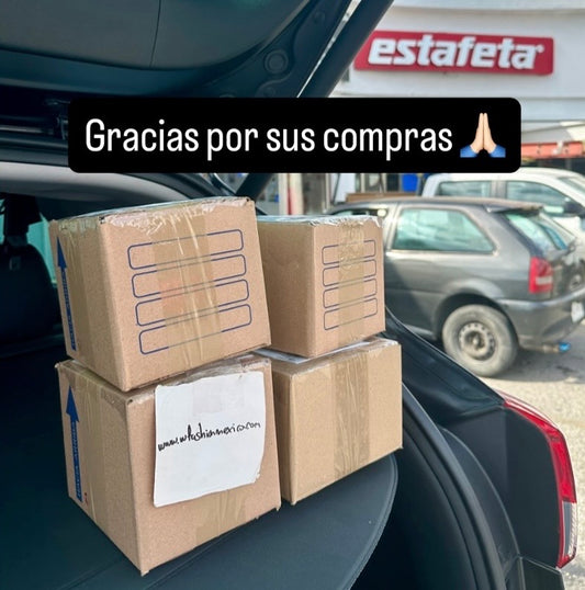 Envíos a todo México 579