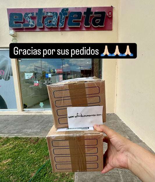 Envíos a todo México 381