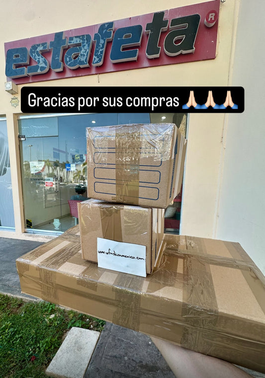 Envíos a todo México 391