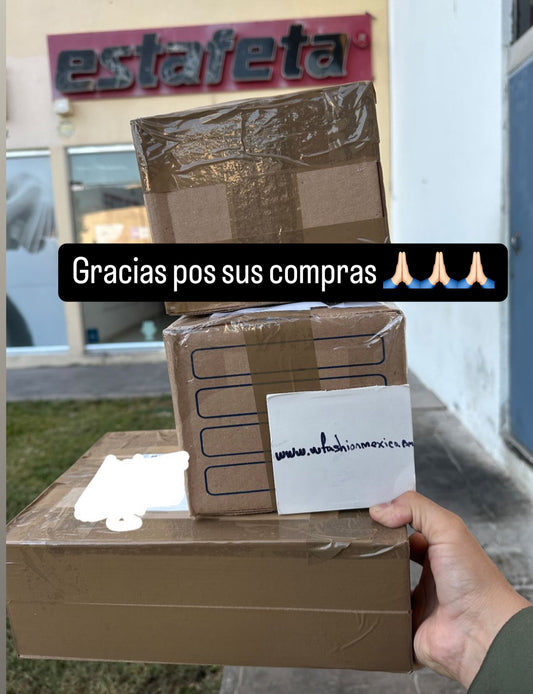 Envíos a todo México 331