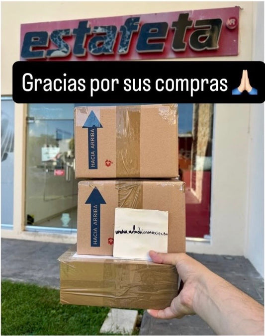 Envíos a todo México 487