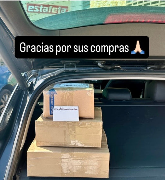 Envíos a todo México 589