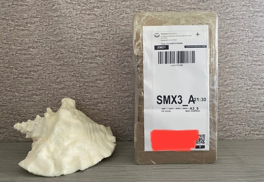 Envíos a todo México 2