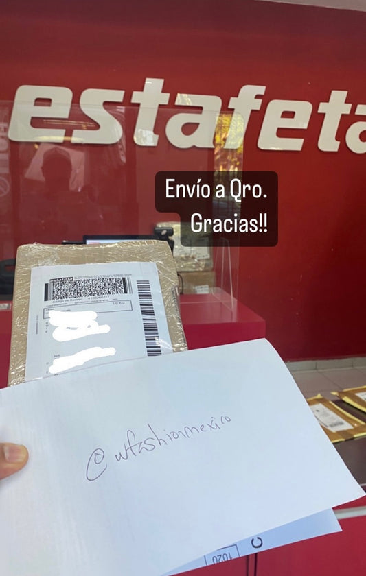 Envíos a todo México 8