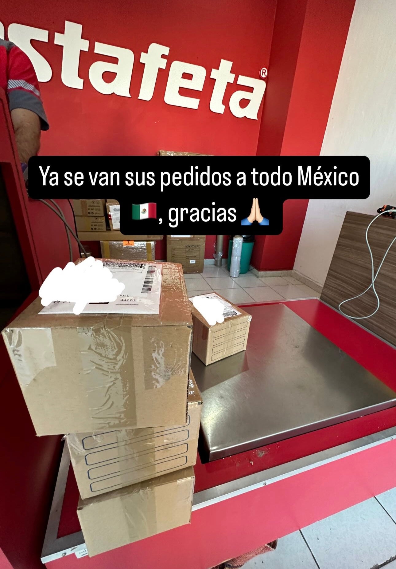 Envíos a todo México 298