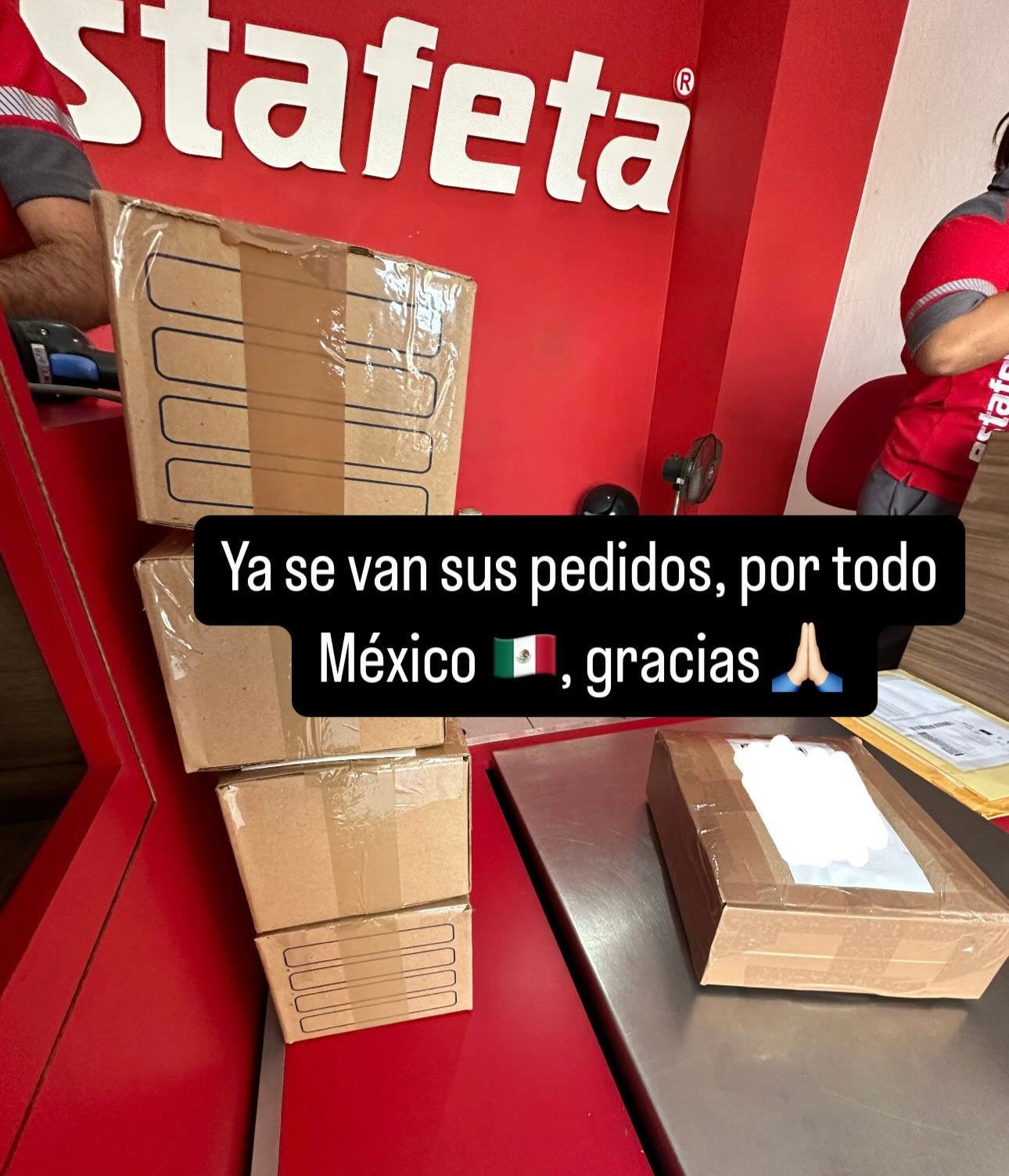 Envíos a todo México 311