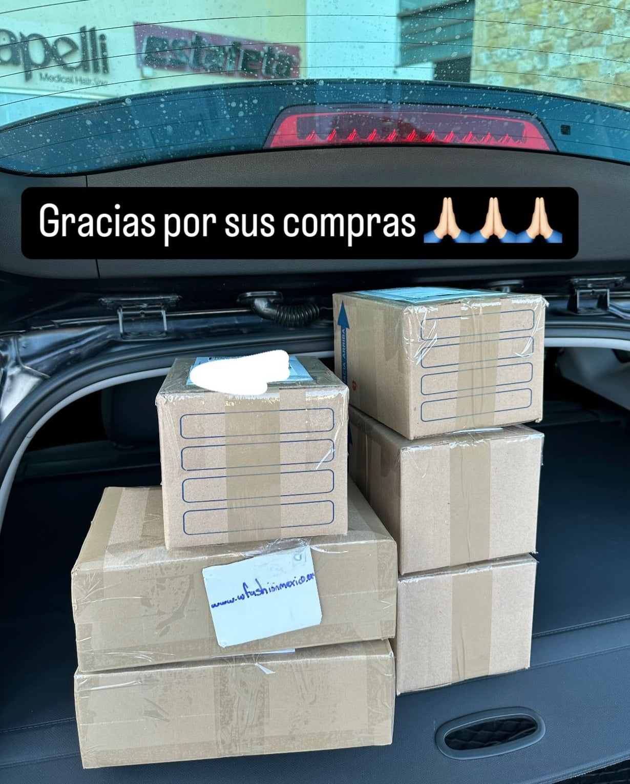 Envíos a todo México 295