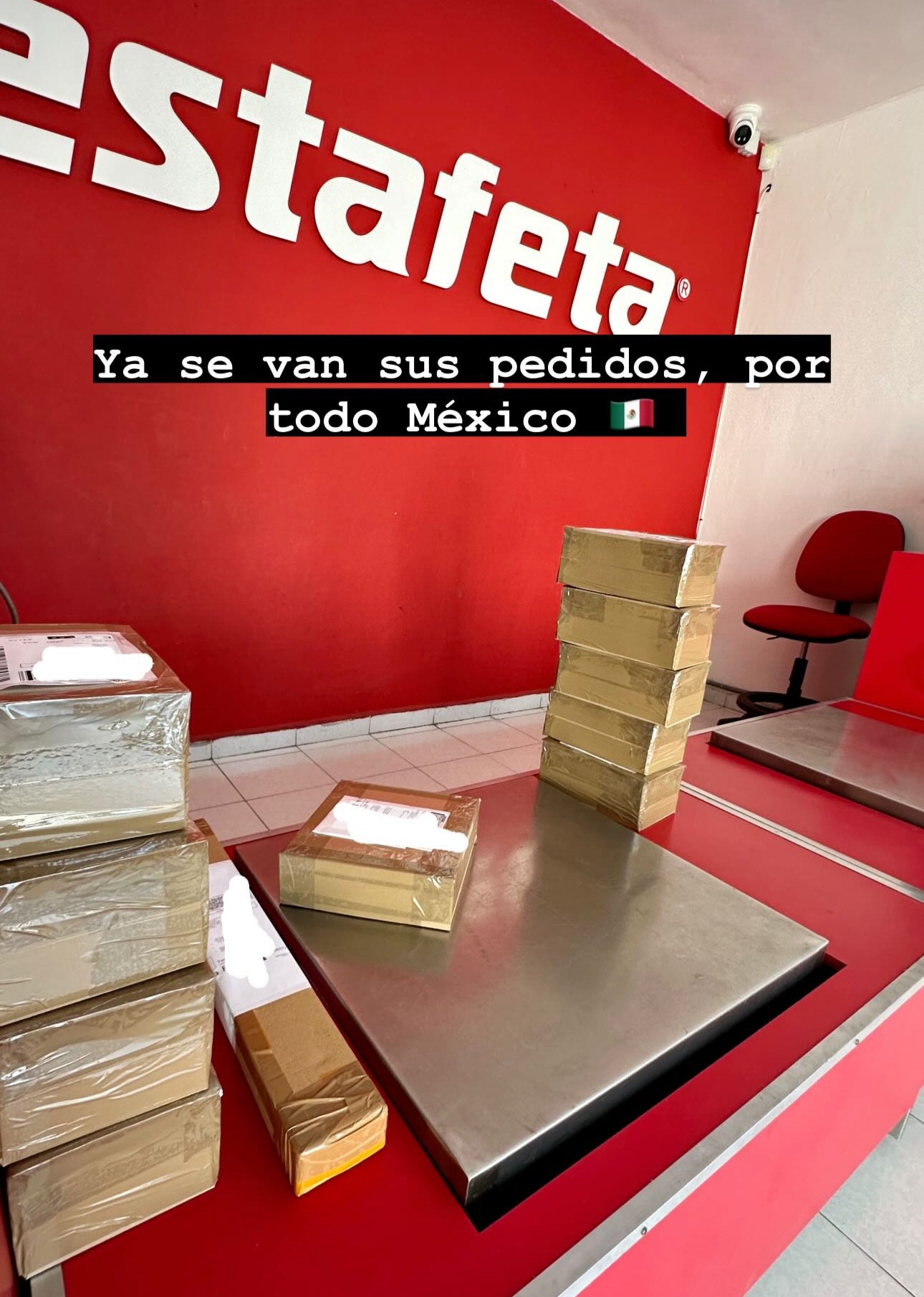 Envíos a todo México 236