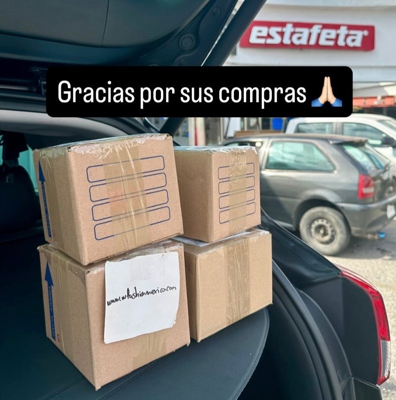 Envíos a todo México 579