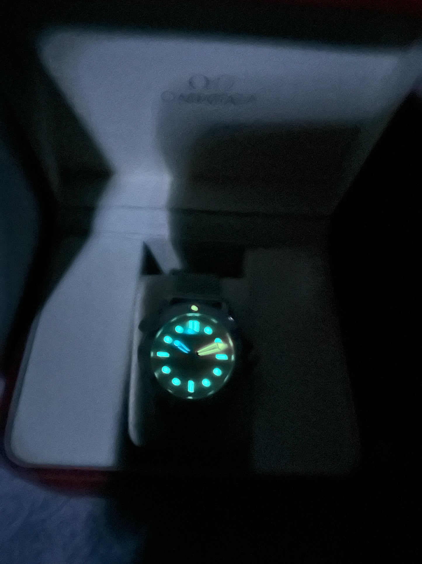 Sea Master Diver Silver