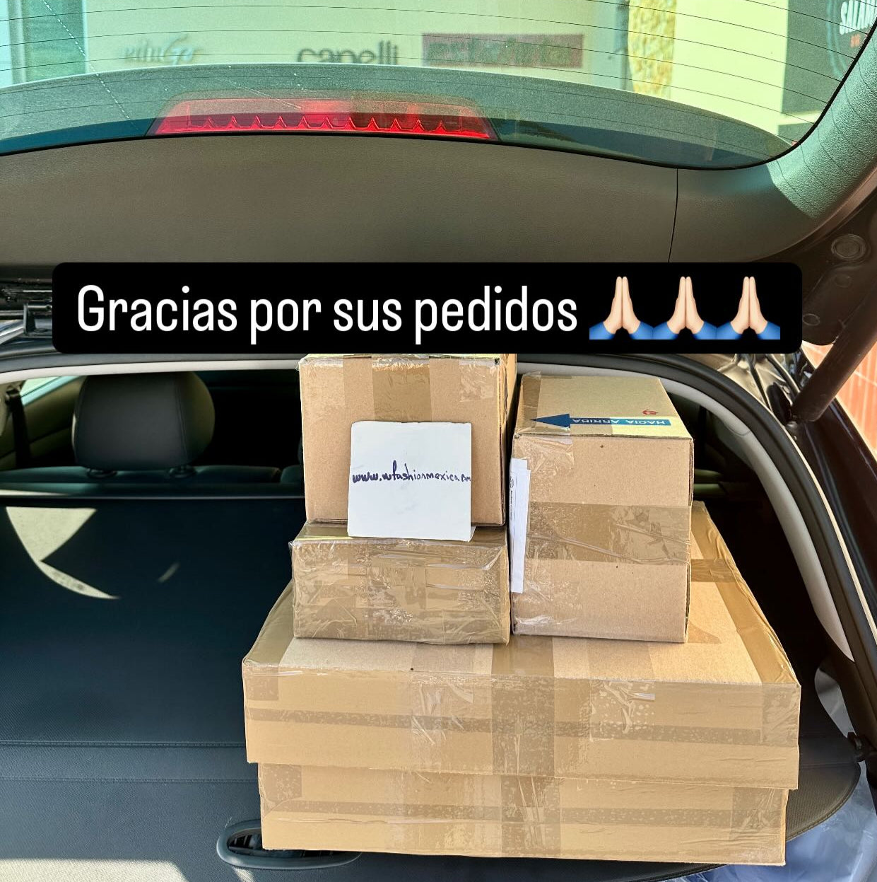 Envíos a todo México 363