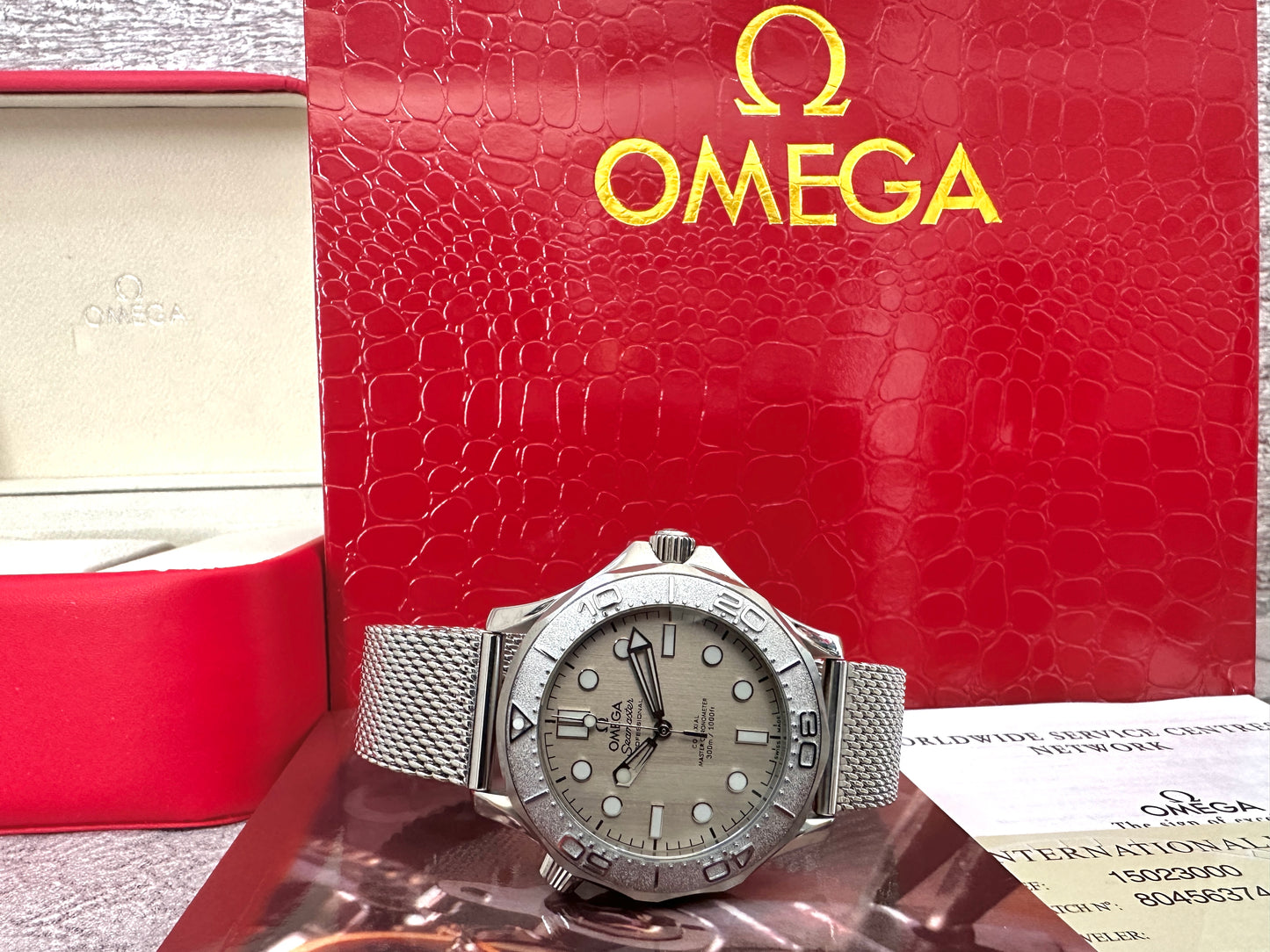 Sea Master Diver Silver