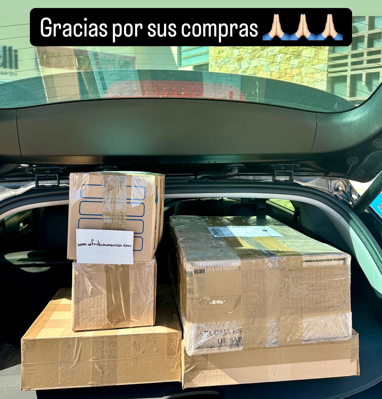 Envíos a todo México 364