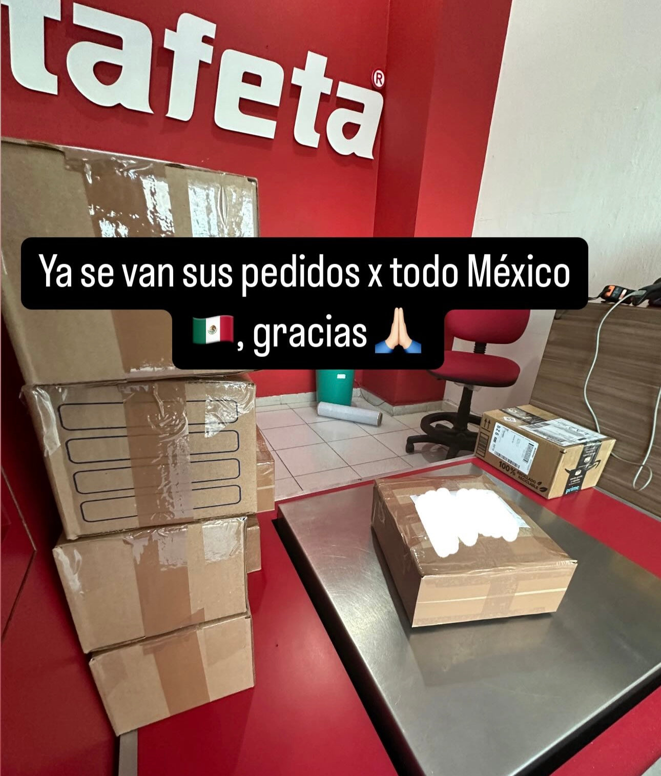 Envíos a todo México 313