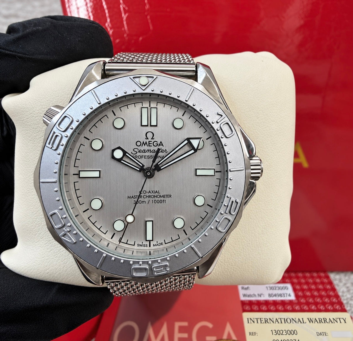Sea Master Diver Silver