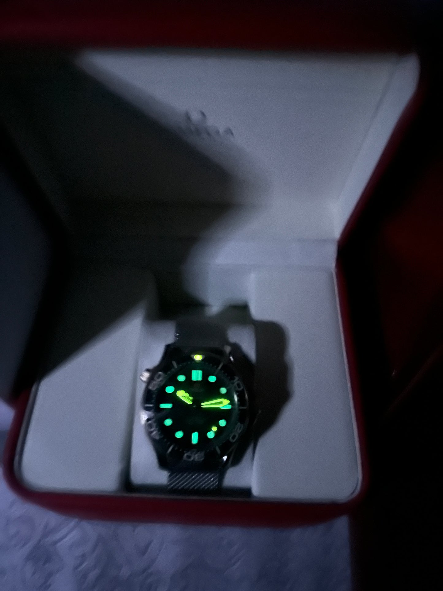 Sea Master Diver verde
