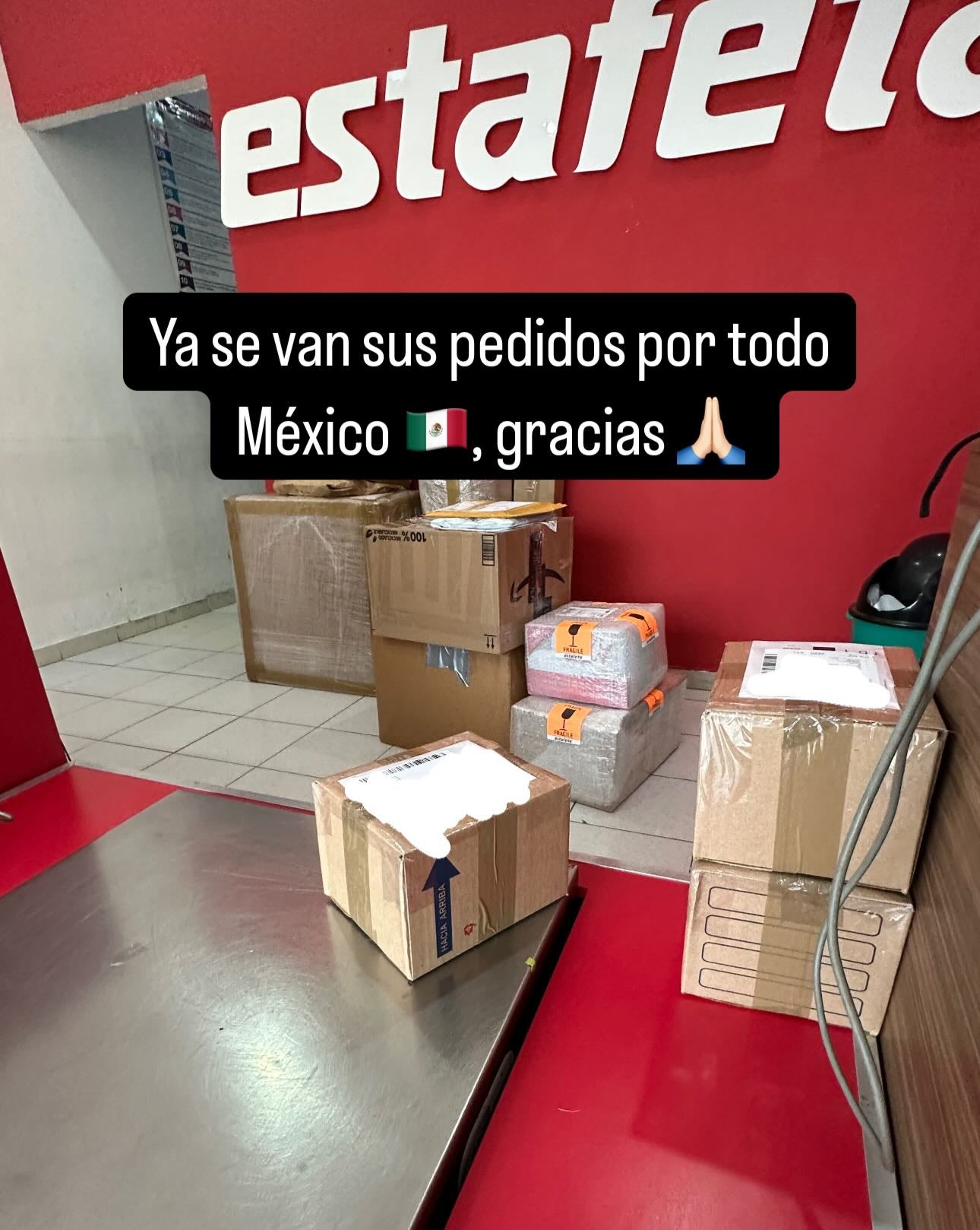 Envíos a todo México 351